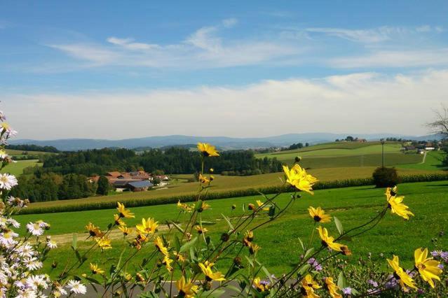Ferienwohnung Im Bayerischen Wald Tittling Kültér fotó